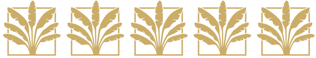 5 img