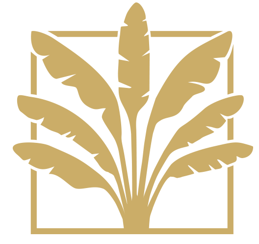 contact icon